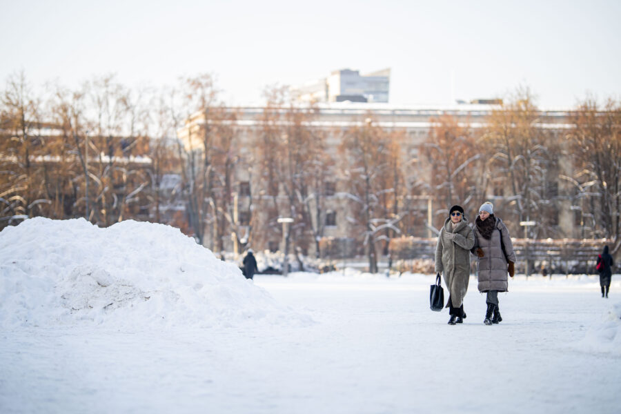 Žiema. ELTA / Žygimantas Gedvila