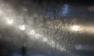 Lijundra. ELTA / Žygimantas Gedvila