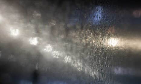 Lijundra. ELTA / Žygimantas Gedvila