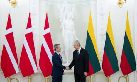 Danijos karalius Frederikas X, Gitanas Nausėda. ELTA / Andrius Ufartas