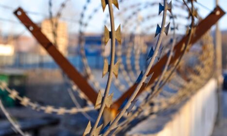 barbwire, barbed wire, security, sharp, barrier, metal, border, iron, safety, defense, guard