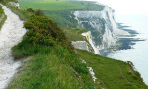 white cliffs, cliffs, nature, dover, sea, coast, path, coastal path, england, united kingdom