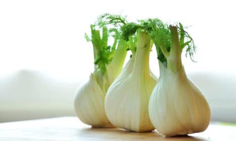 fennel, vegetables, fennel bulbs, food, healthy, fresh, meal, vitamins, fennel vegetable, kitchen, preparation, still life, fennel, fennel, fennel, fennel, fennel