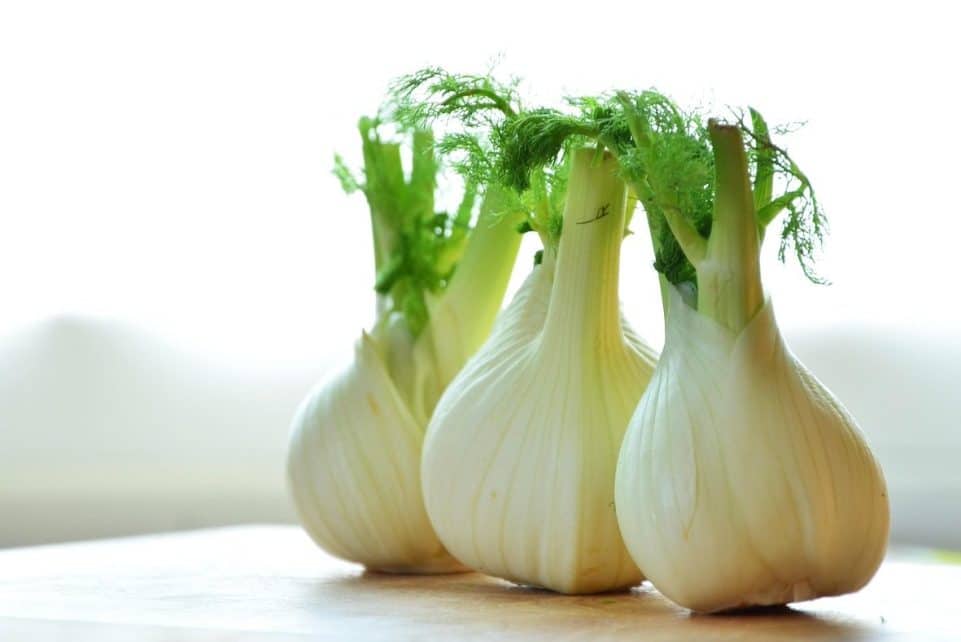fennel, vegetables, fennel bulbs, food, healthy, fresh, meal, vitamins, fennel vegetable, kitchen, preparation, still life, fennel, fennel, fennel, fennel, fennel