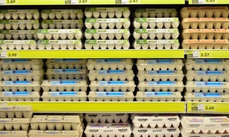 egg, supermarket, fresh, grocery store, grocery, food, ingredient, retail, organic, healthy, protein, diet, strong, bodybuilding, supermarket, supermarket, supermarket, grocery store, grocery store, grocery store, grocery store, grocery store, grocery, grocery