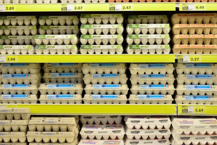 egg, supermarket, fresh, grocery store, grocery, food, ingredient, retail, organic, healthy, protein, diet, strong, bodybuilding, supermarket, supermarket, supermarket, grocery store, grocery store, grocery store, grocery store, grocery store, grocery, grocery