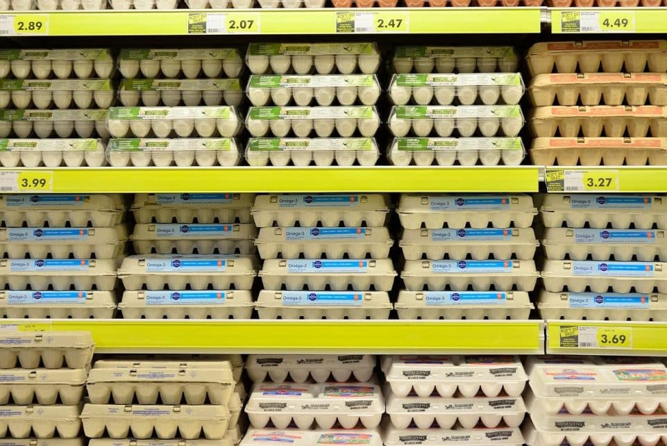 egg, supermarket, fresh, grocery store, grocery, food, ingredient, retail, organic, healthy, protein, diet, strong, bodybuilding, supermarket, supermarket, supermarket, grocery store, grocery store, grocery store, grocery store, grocery store, grocery, grocery