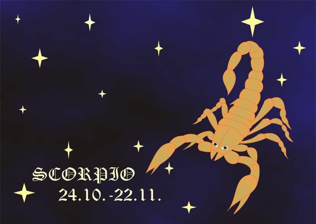 horoscope, sign, zodiac, sign of the zodiac, scorpio, scorpio, scorpio, scorpio, scorpio, scorpio
