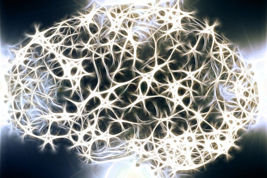 neurons, brain cells, brain structure, brain, network, wattle, yarn, tissue, meshwork, entanglement, knot, web, meshes, ribbon, loop, sloop, neurons, brain, brain, brain, brain, brain