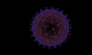 immunology, virion, epidemic, health, immune, medical, medicine, microbiology, science, virus, biology, infection, viral, care, cell, macro, pathology, infected, microbial, virology, black virus, black health, black medical, black science, black medicine, black care, immunology, immunology, immunology, immunology, immunology