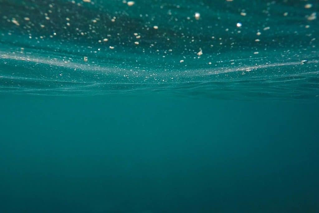 ocean, sea, submerged, underwater, nature, water, sea water, blue water