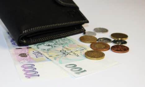 money, wallet, banknotes, leather wallet, coin, finance, business, money, money, wallet, wallet, wallet, wallet, wallet, finance