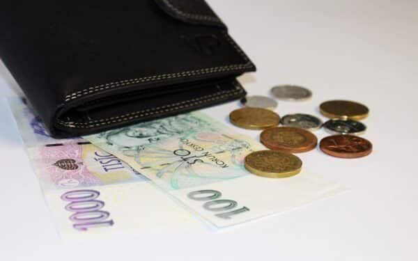 Ką įsidėti į kišenę per Naujuosius, kad visus metus netrūktų pinigų: senos apeigos