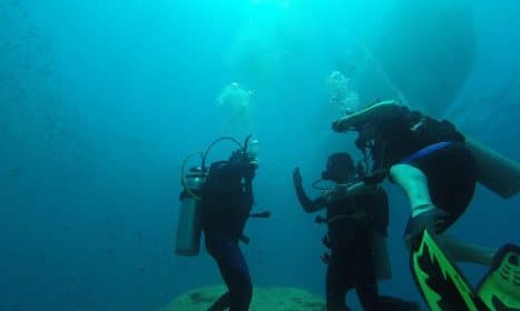 diving, scuba, sea, ocean, scuba diving, nature, adventure, animals, submarine, marine, aquarium, deep, mexico, subarina, sea bottom, water, summer, scuba diving, scuba diving, scuba diving, scuba diving, scuba diving, sea bottom