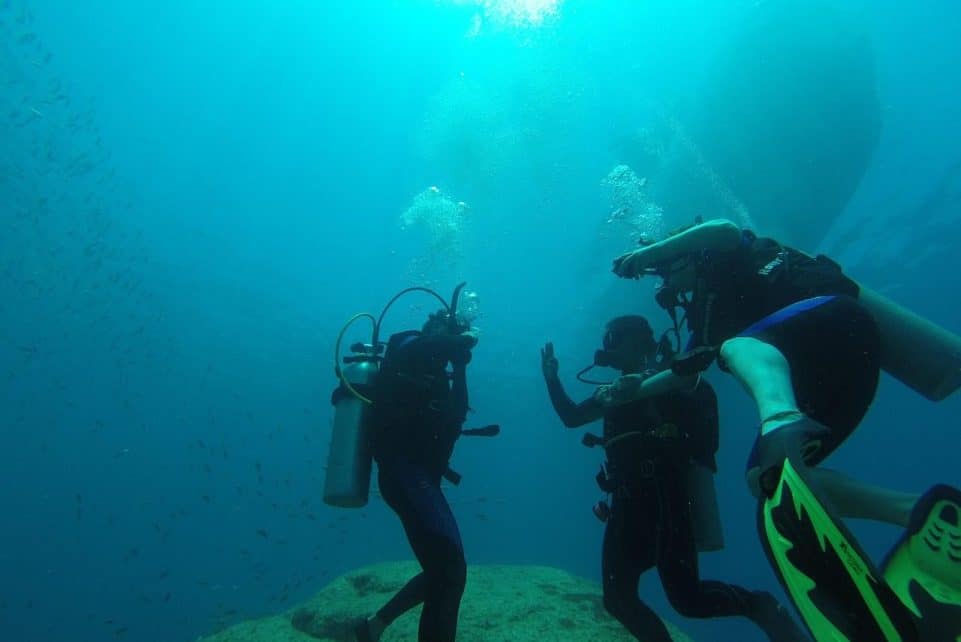 diving, scuba, sea, ocean, scuba diving, nature, adventure, animals, submarine, marine, aquarium, deep, mexico, subarina, sea bottom, water, summer, scuba diving, scuba diving, scuba diving, scuba diving, scuba diving, sea bottom