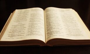 book, bible, text, literature, christianity, old, study, spiritual, learn, learning, knowledge, god, christian, religion, studying, open bible, antique, bible study, bible, bible, bible, bible, bible, open bible