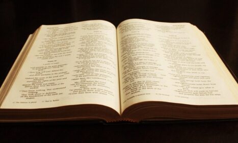 book, bible, text, literature, christianity, old, study, spiritual, learn, learning, knowledge, god, christian, religion, studying, open bible, antique, bible study, bible, bible, bible, bible, bible, open bible