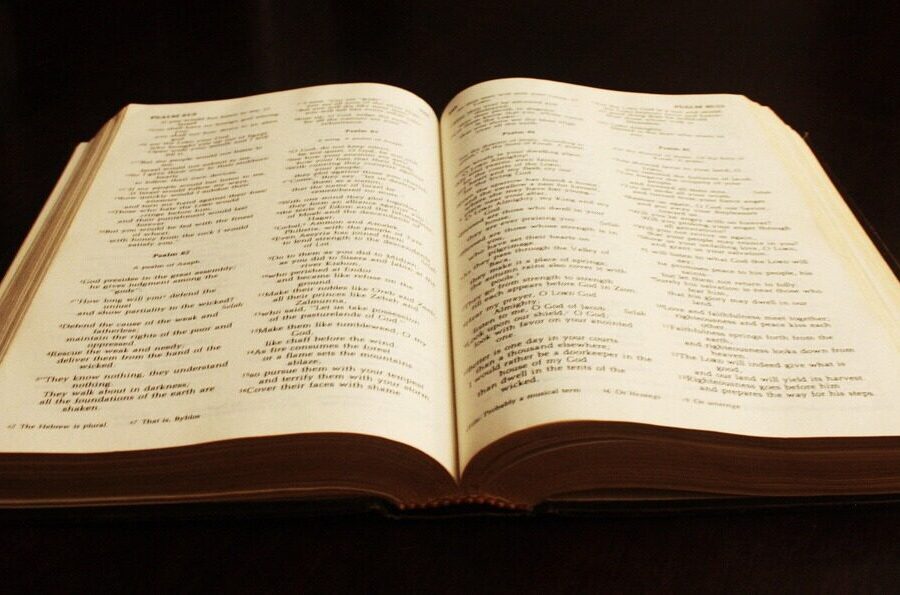 book, bible, text, literature, christianity, old, study, spiritual, learn, learning, knowledge, god, christian, religion, studying, open bible, antique, bible study, bible, bible, bible, bible, bible, open bible