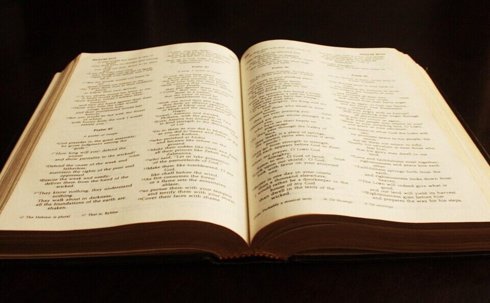 book, bible, text, literature, christianity, old, study, spiritual, learn, learning, knowledge, god, christian, religion, studying, open bible, antique, bible study, bible, bible, bible, bible, bible, open bible