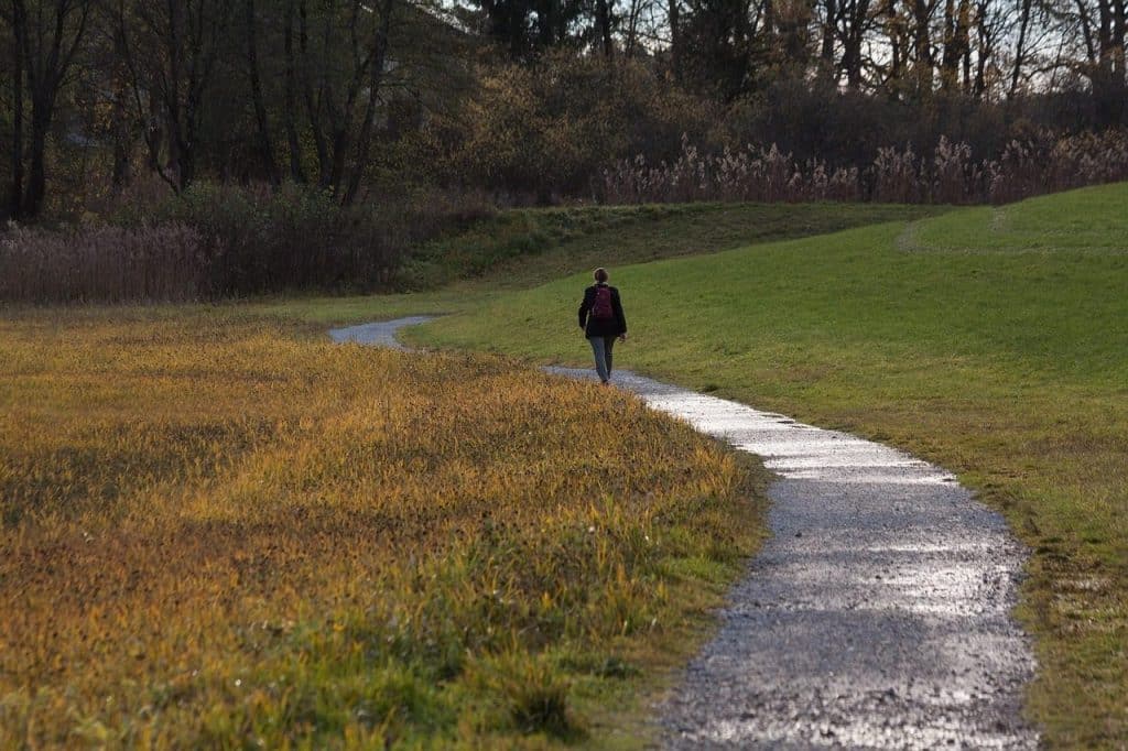 path, walk, side walk, woman, backpack, idyll, puddles, go for a walk, hike, landscape, nature, trees, swamp, swampy