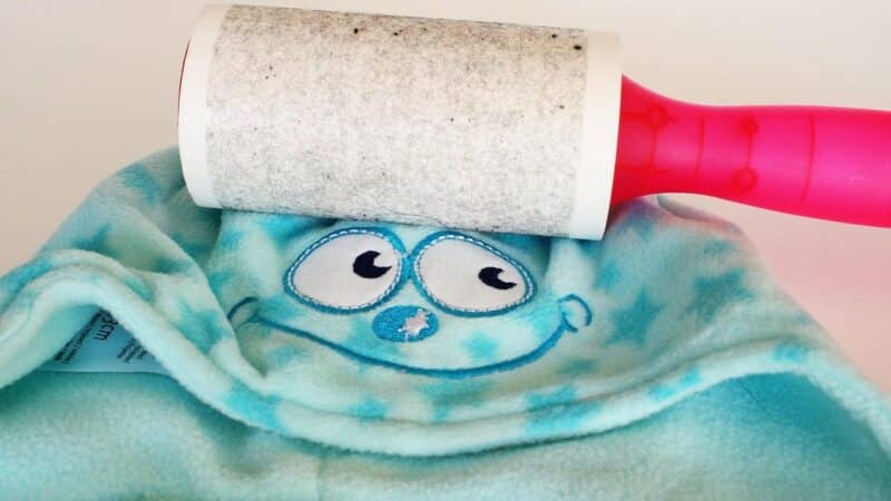 Pūkų rinkiklis nėra toks saugus: šiuos daiktus namuose negrįžtamai gadinate