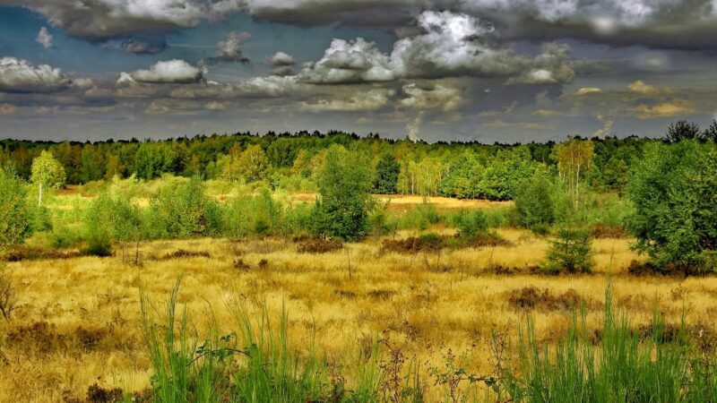 Priešiškų valstybių taikinyje – Kapčiamiesčio poligonas: kariuomenė fiksuoja pavojingus signalus