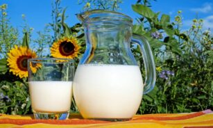 milk, glass, pitcher, fresh, fresh milk, drink, beverage, dairy, dairy products, glass pitcher, healthy, delicious, vitamins, liquid, cow's milk, protein, nutrition, milk, milk, milk, milk, milk