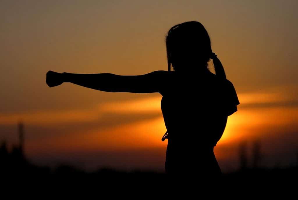 karate, sunset, fight, sports, silhouette, resistance, samurai, fit, girl, self-defense, defense, nature, fist, brown sunset, brown sports