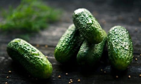 cucumber, plant, nature, green, food, appetizer