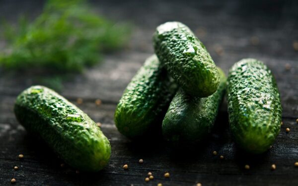 Agurkai augs lygūs, ne kreivi: vienas pigus ingredientas išspręs visas derliaus bėdas