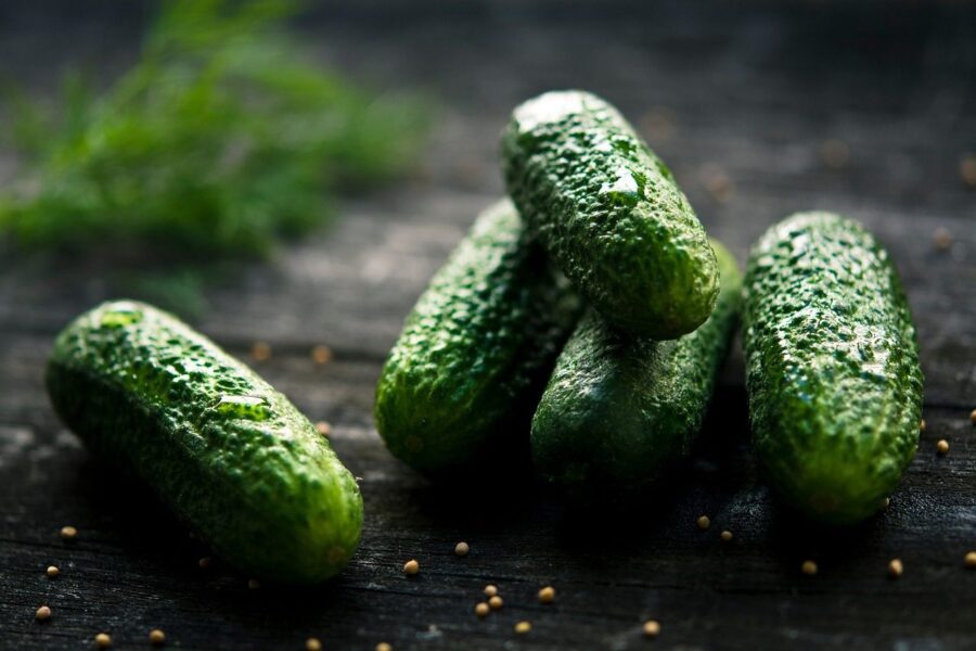 cucumber, plant, nature, green, food, appetizer