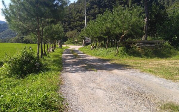 Kviečiame teikti paraiškas dėl sodininkų bendrijų kelių perdavimo savivaldybei  ir finansinės paramos gavimo