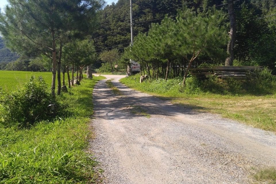 forest, road, country, tree, nature, emotion, break, garden, forest road, healing, tracking, korea