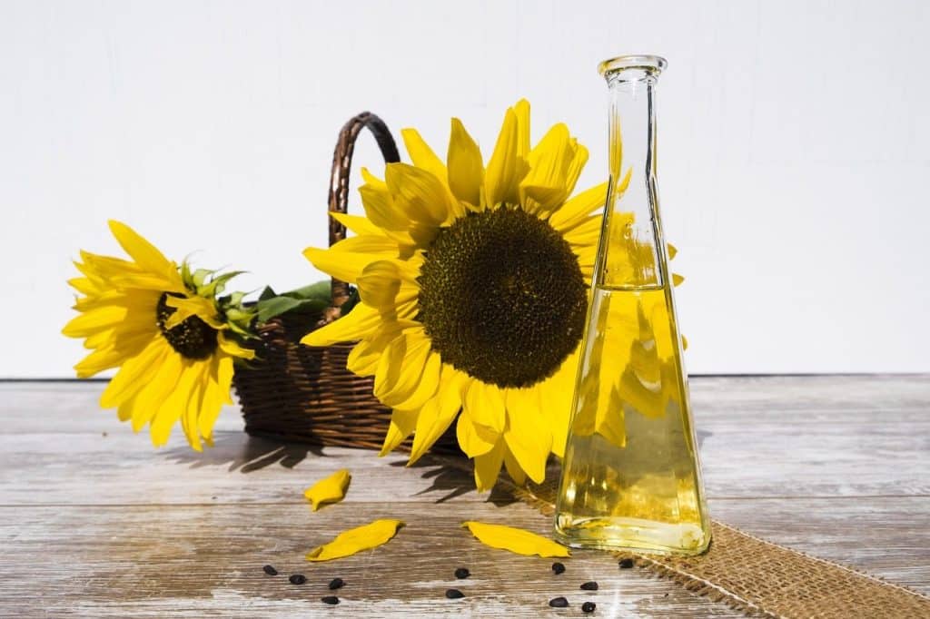 oil, sunflower oil, edible oil, flower wallpaper, food, nourishment, cook, sunflower, bottle, flower, plant, flora, yellow, summer, blossom, bloom, nature, bloom, sunflower seeds, kernels, beautiful flowers, flower background, seeds