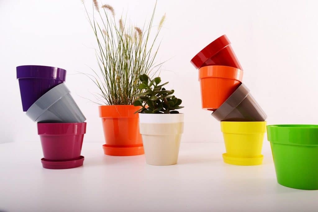 plants, flowerpot, plastic, beautiful flowers, color, flower background, colorful, pot, garden, container, flower, decoration, gardening, green, nature, decor, new, growth, home, grow, pottery, flora, natural, indoor, decorative, hobby, transparent, decorate, horticulture, flower wallpaper, red, orange, white