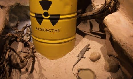 lizard, environment, habitat, radioactive, environmental pollution, radioactive, radioactive, radioactive, radioactive, radioactive