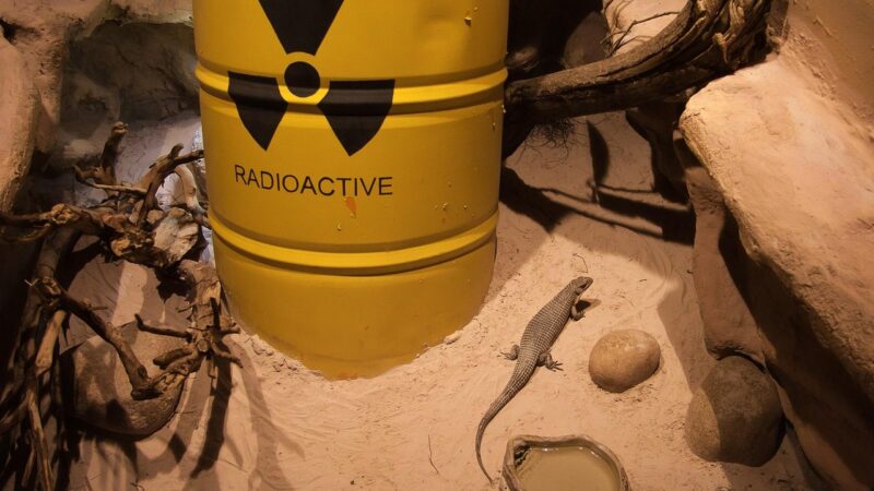 Didžiausia branduolinė mįslė įminta? Štai kaip pavojingos atliekos virs švaria energija jūsų namams