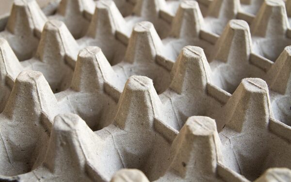 Nebemeskite kiaušinių dėklų: 4 būdai, kaip šis paprastas daiktas pakeis jūsų lysves