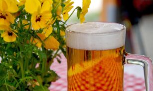beer, glass, drink, beer garden, refreshment, thirst, alcoholic, thirst quencher, prost, head, to celebrate, oktoberfest, bavaria, bavarian, beer, beer, beer, beer, beer, oktoberfest