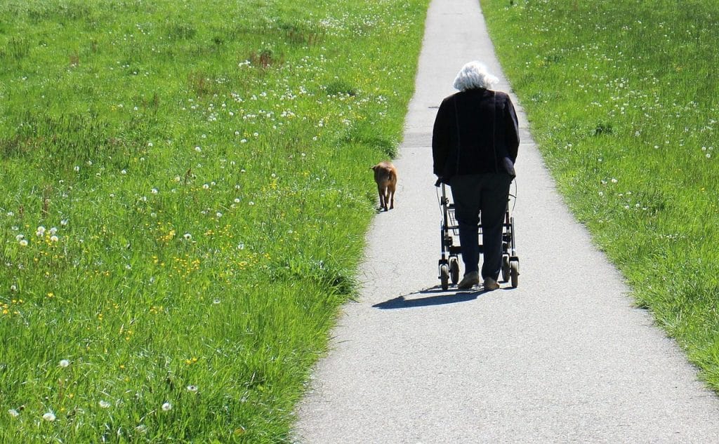human, person, old, path, walk, walker, rollator, walker, walker, walker, walker, walker, rollator