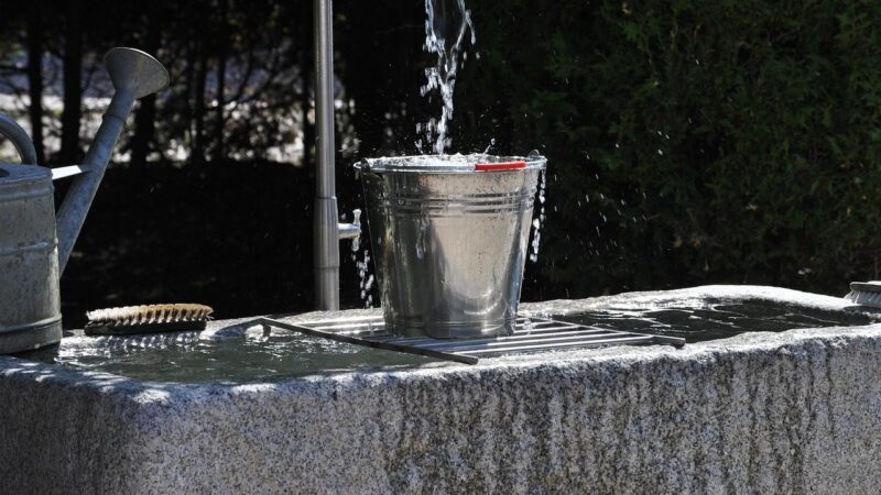 Neskubėkite išmesti prakiurusio kibiro: 3 genialūs būdai, kaip jį paversti sodo puošmena