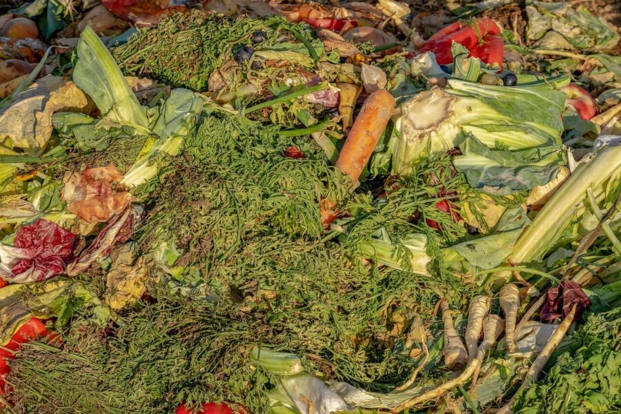 compost, garbage, biological, waste, fruit, vegetables, recycling, compost heap, fertilizer, ecology, compost, compost, compost, compost, compost