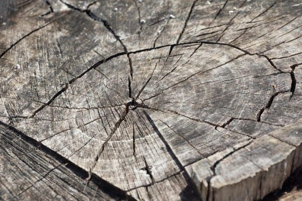 wood, log, stump, tree stump, wooden, annual rings, grain, nature, old, dry, cracked, tree