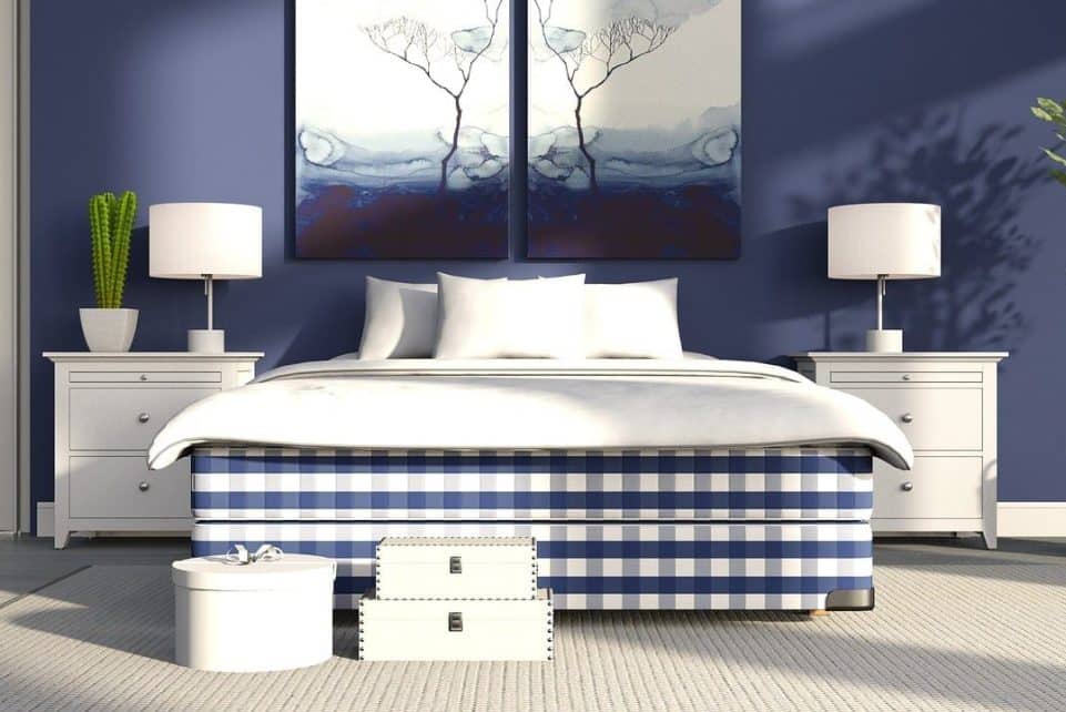 bed, plaid, nature, pattern, bedside table, lamp, white, wall, blue, ficus, plant, carpet, interior, pictures, cactus, light, bedroom