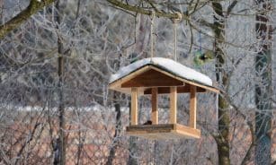 a bird feeder for the birds, feeder, booth, winter, nature, snow, feeding the birds, feeding, bird house
