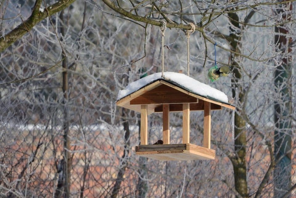 a bird feeder for the birds, feeder, booth, winter, nature, snow, feeding the birds, feeding, bird house