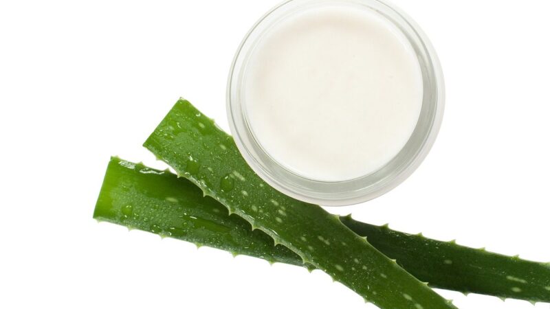 Brangūs kremai nebereikalingi: štai paprastas būdas, kaip iš alavijo pasigaminti veiksmingą kremą