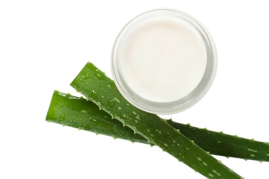 cream, aloe vera, beautician, body, mask, spa, wellness, cosmetology, beauty, aromatherapy, relaxation, massage, green, on white, to relax, hands, care, recovery, health, eco, eco-friendly, ointment, cosmetics, aloe vera, aloe vera, aloe vera, aloe vera, aloe vera