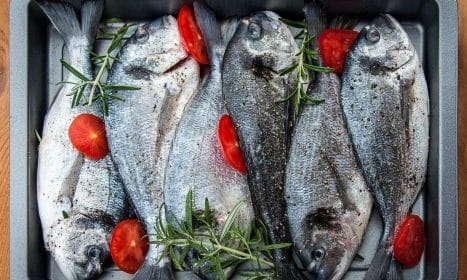sea bream, fish, grilled food, grilling, nature, prepare, preparation, meal, bream