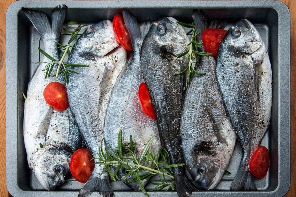 sea bream, fish, grilled food, grilling, nature, prepare, preparation, meal, bream